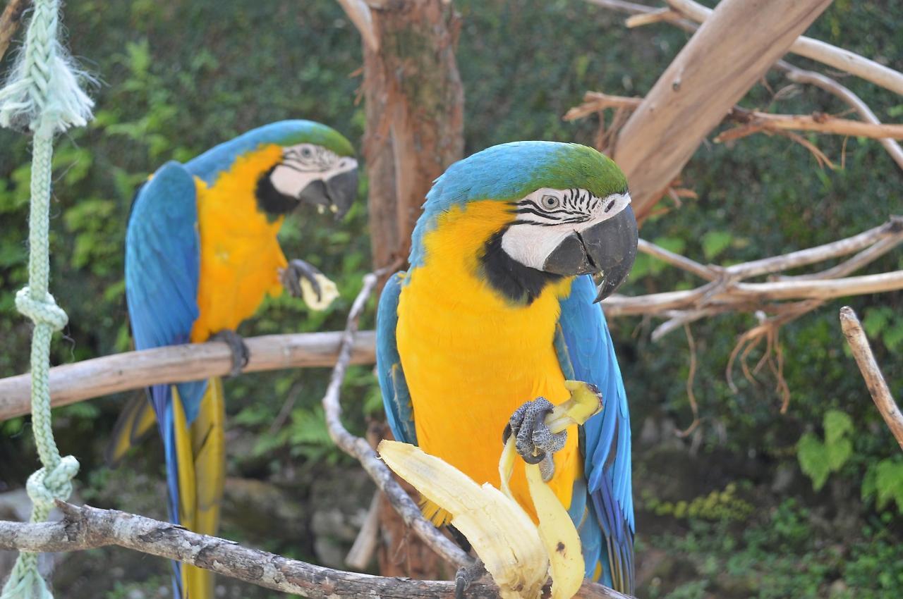 Pousada Tere Parque Teresopolis Ngoại thất bức ảnh